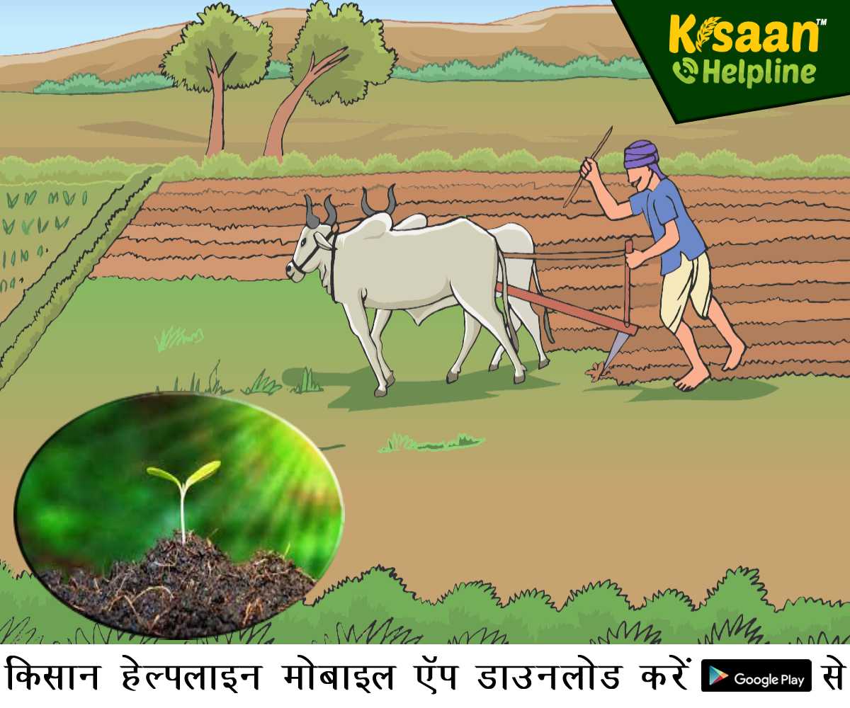 this portal will help in buying organic products along with organic farming  | Farming Technology: जैविक खेती करने वाले किसानों का मसीहा है ये पोर्टल,  फोन पर भी खरीद-बेच सकेंगे जैविक ...