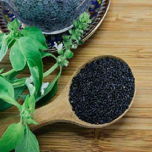 Tulsi - Basil