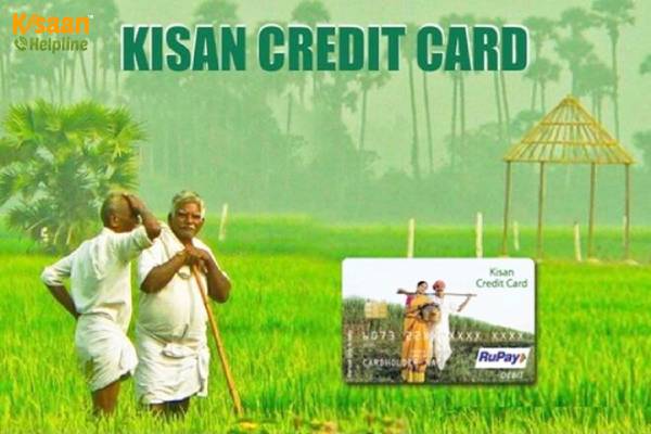 किसान क्रेडिट कार्ड (KCC) योजना: मध्यप्रदेश के किसानों के लिए बड़ी खबर, KCC लोन अब इस तारीख तक जमा कर सकते है